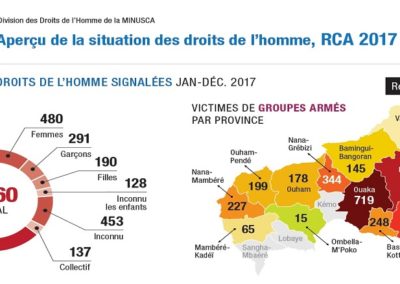 Aperçu de la situation des droits de l’homme, RCA 2017