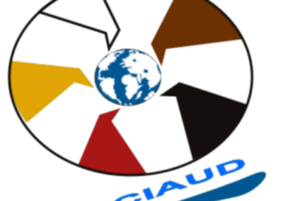 Comité International pour l&rsquo;Aide d&rsquo;Urgence et le Développement